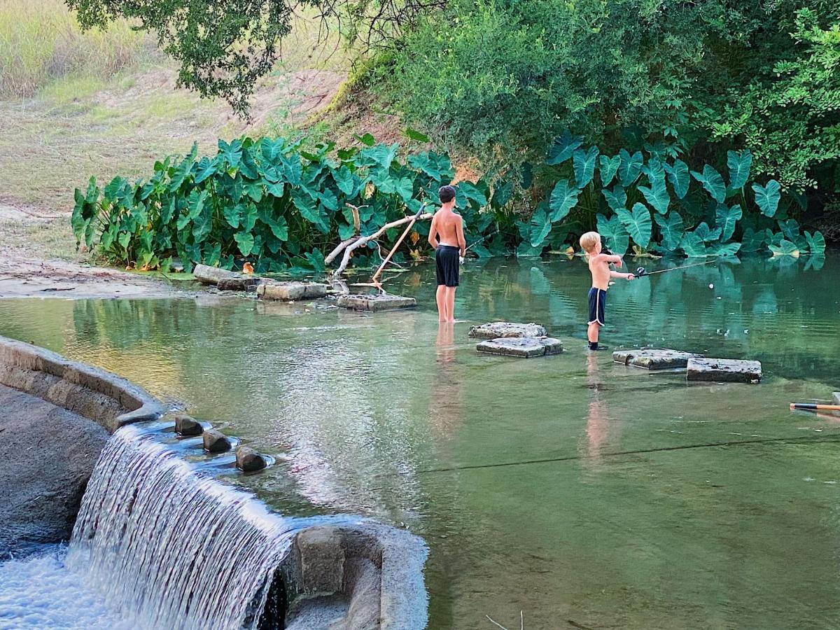 MarionSon'S Rio Cibolo Birdhouse Cabin #11 Beautiful Creek Front Cabins And Cabanas!别墅 外观 照片