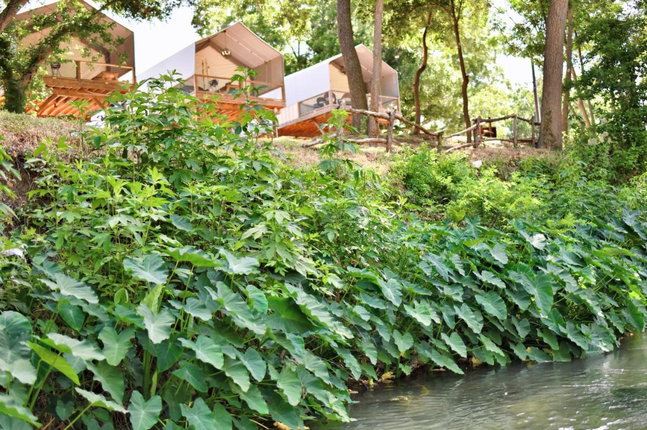 MarionSon'S Rio Cibolo Birdhouse Cabin #11 Beautiful Creek Front Cabins And Cabanas!别墅 外观 照片