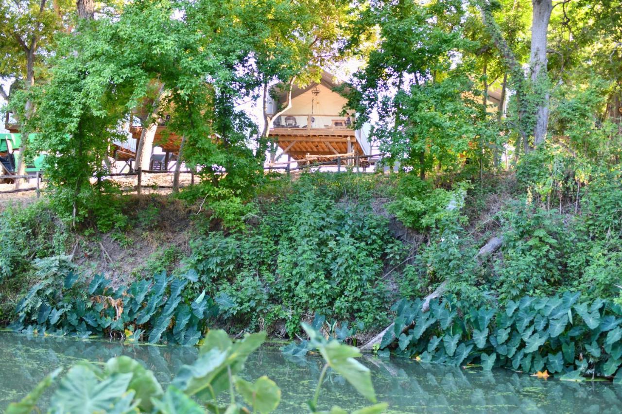 MarionSon'S Rio Cibolo Birdhouse Cabin #11 Beautiful Creek Front Cabins And Cabanas!别墅 外观 照片