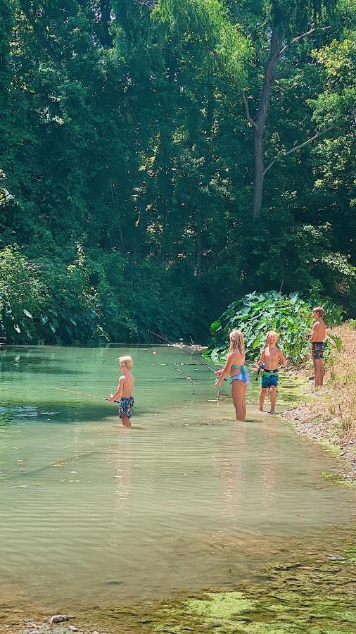 MarionSon'S Rio Cibolo Birdhouse Cabin #11 Beautiful Creek Front Cabins And Cabanas!别墅 外观 照片